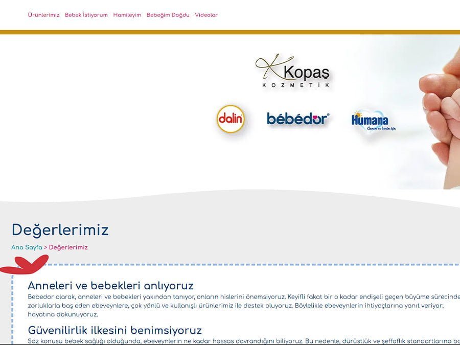 Bebedor ekran görüntüsü 12