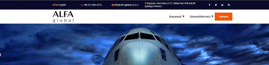 Alfa Global proje görseli