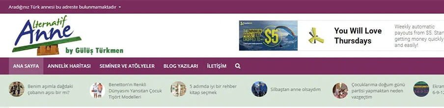 Alternatif Anne proje görseli
