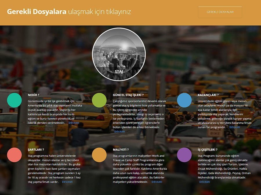 ICCP Turkey ekran görüntüsü 4