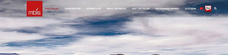 Mbis proje görseli