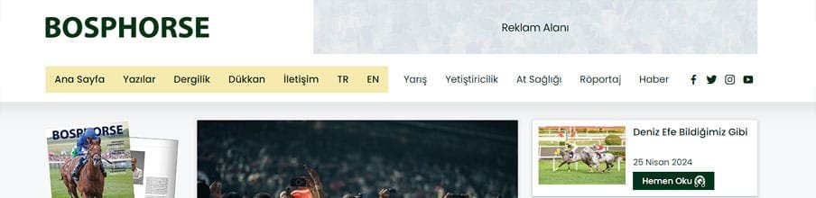 Bosphorse proje görseli