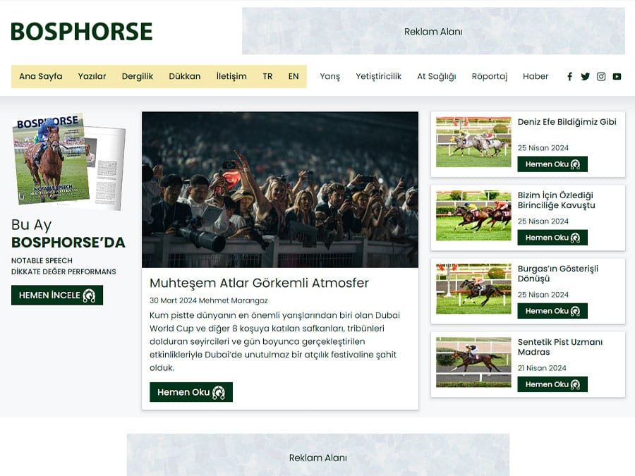 Bosphorse proje görseli