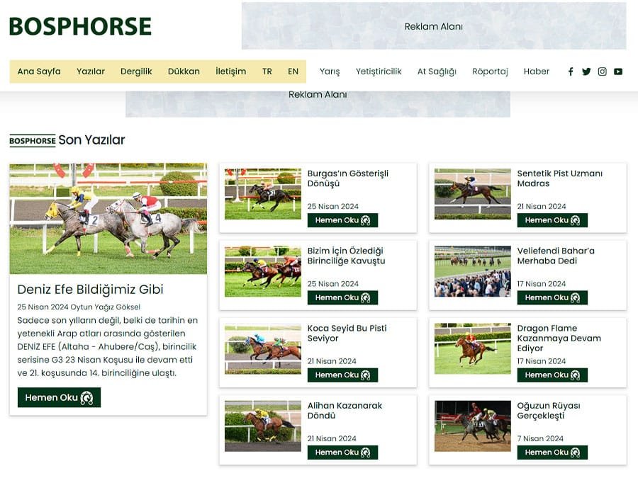 Bosphorse ekran görüntüsü 2