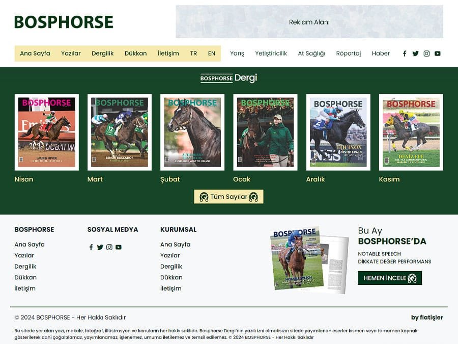 Bosphorse ekran görüntüsü 4