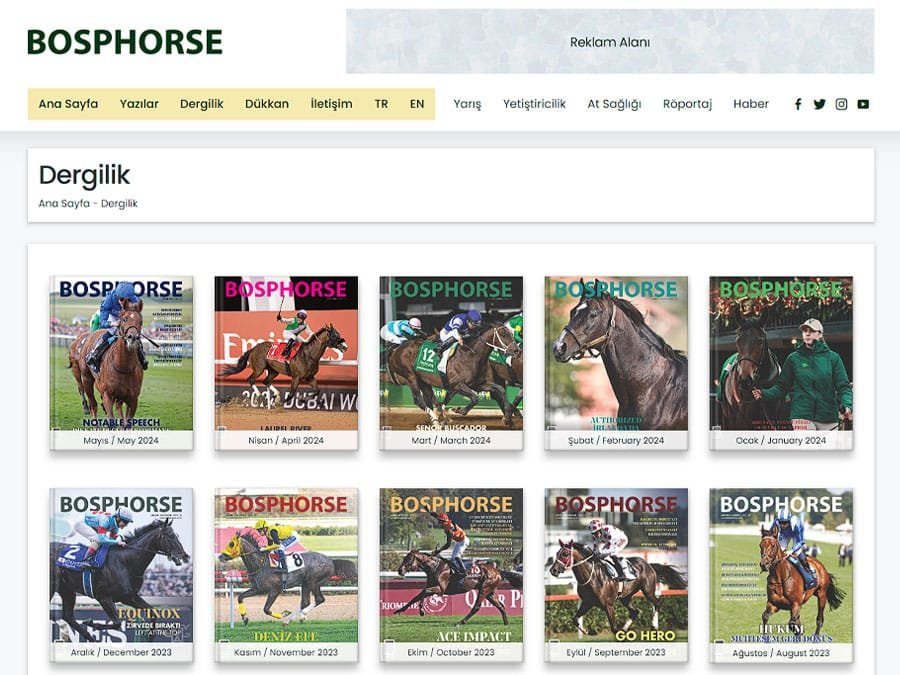 Bosphorse ekran görüntüsü 5