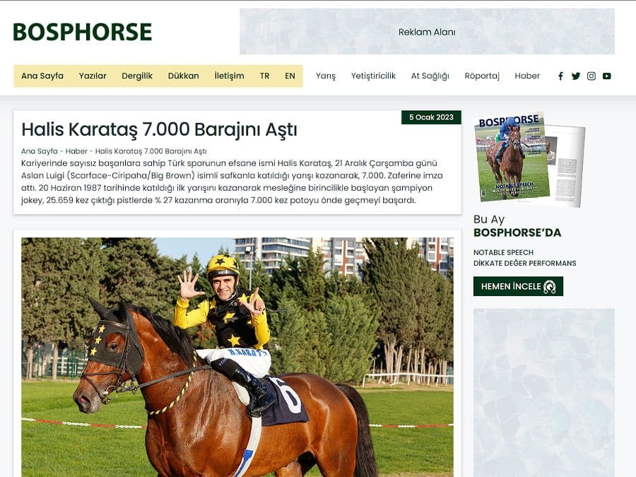 Bosphorse ekran görüntüsü 6