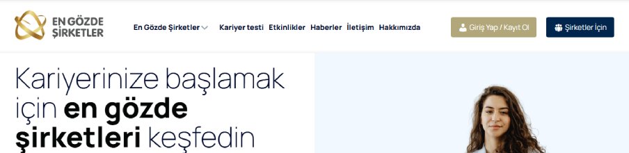 En Gözde Şirketler proje görseli