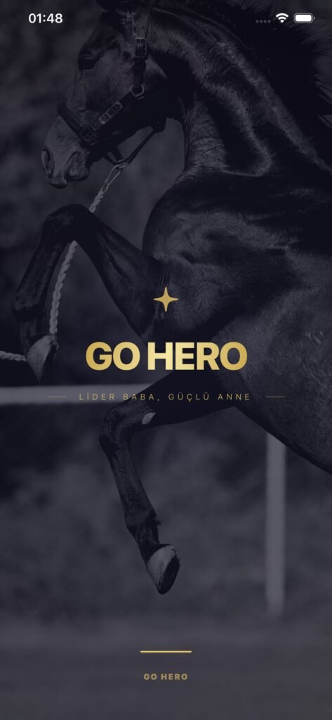 GO HERO ekran görüntüsü 1