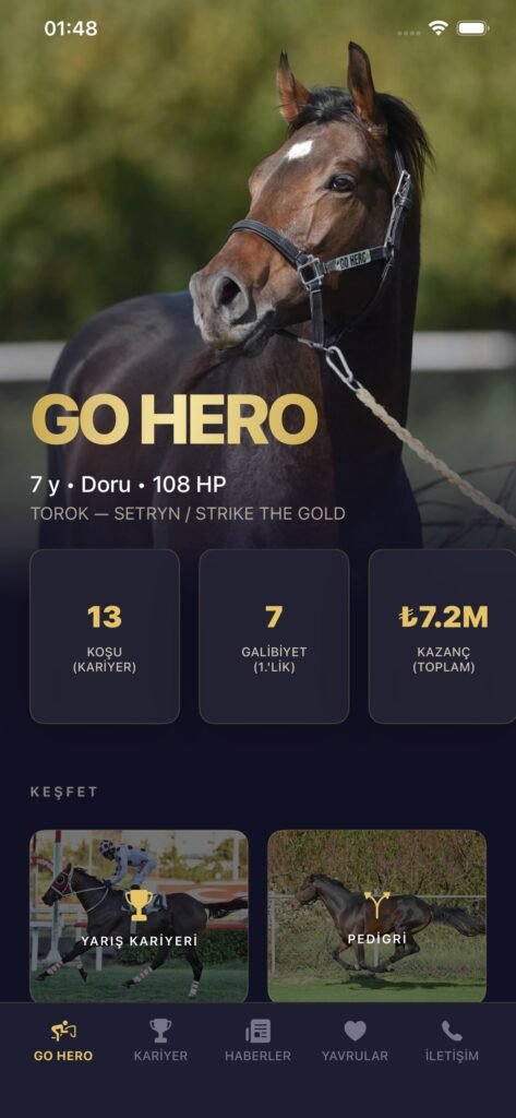 GO HERO ekran görüntüsü 2