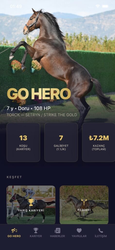 GO HERO ekran görüntüsü 4