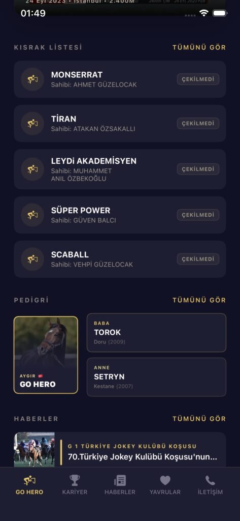 GO HERO ekran görüntüsü 6