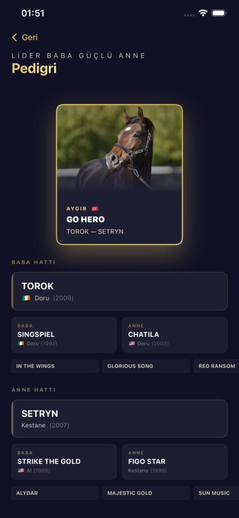 GO HERO ekran görüntüsü 10