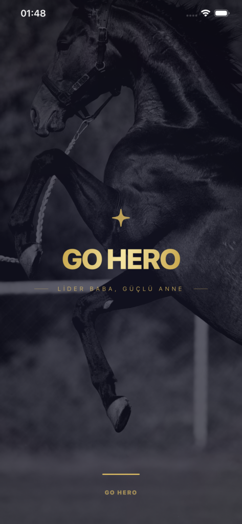 GO HERO ekran görüntüsü 1