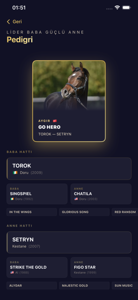 GO HERO ekran görüntüsü 10