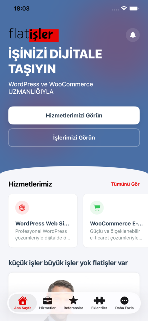 flatişler ekran görüntüsü 2