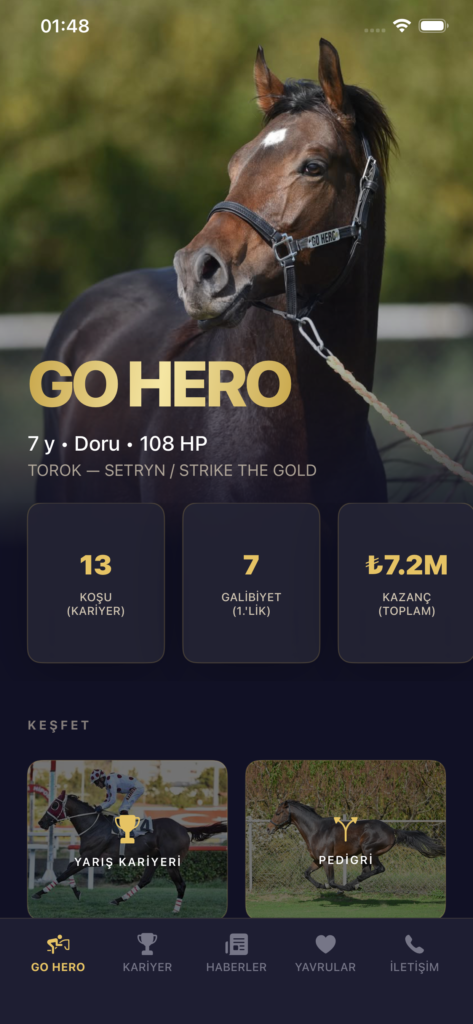 GO HERO ekran görüntüsü 2