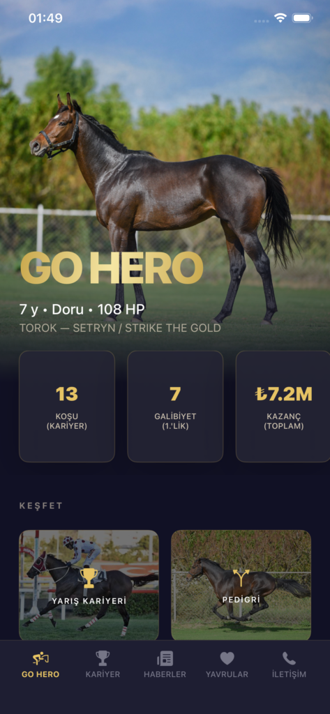 GO HERO ekran görüntüsü 3