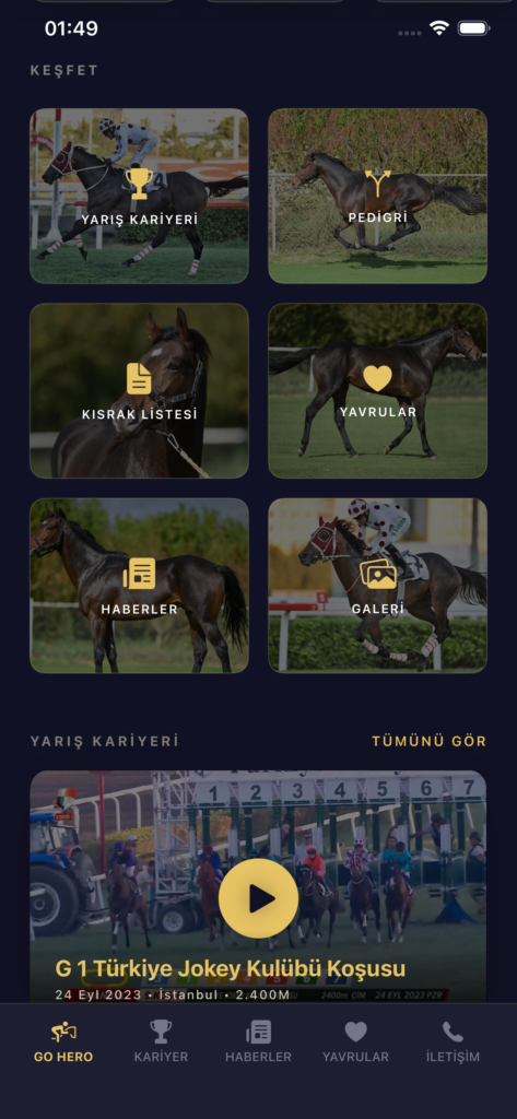 GO HERO ekran görüntüsü 5