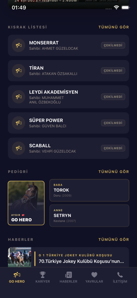 GO HERO ekran görüntüsü 6