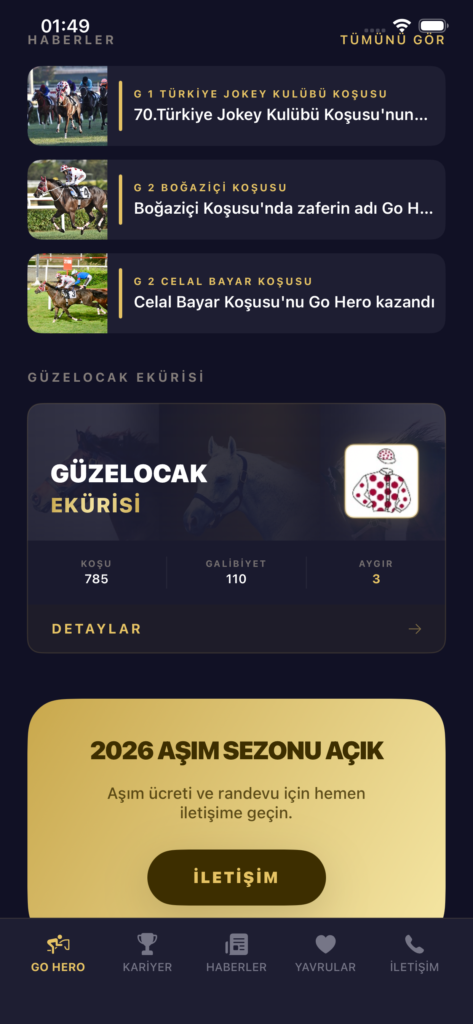 GO HERO ekran görüntüsü 7